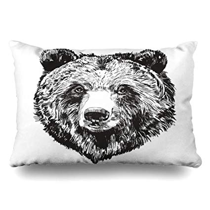 Black Bear Head Drawing