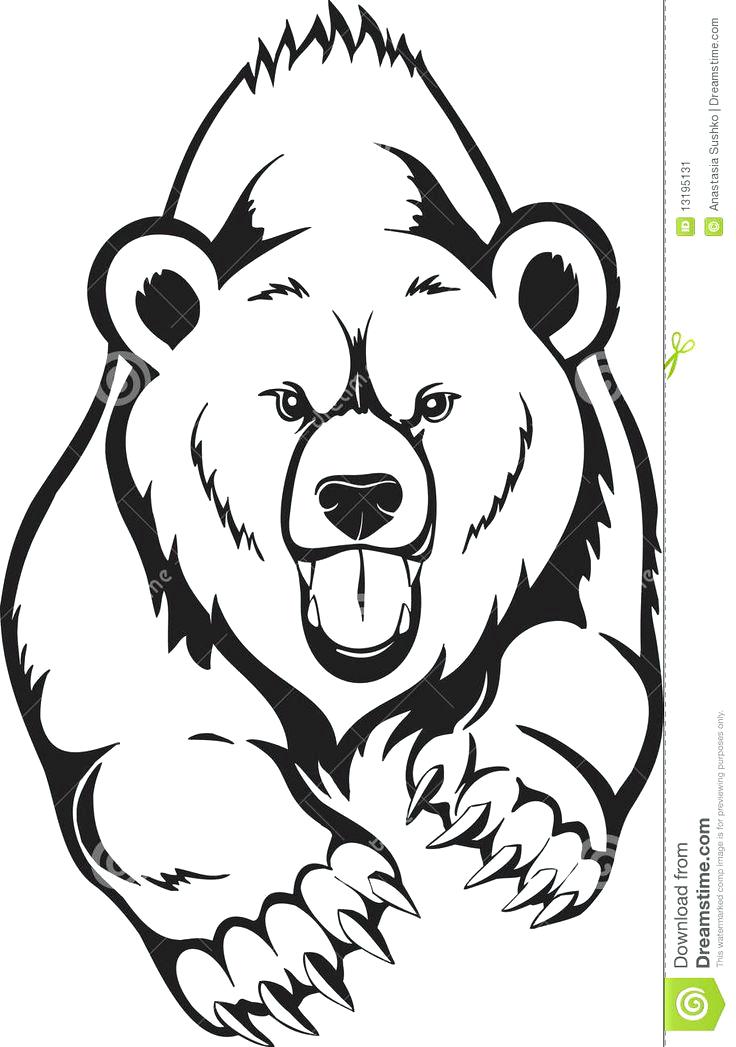 736x1047 black bear outline vector illustration of big walking black bear - Black Bear Head Drawing