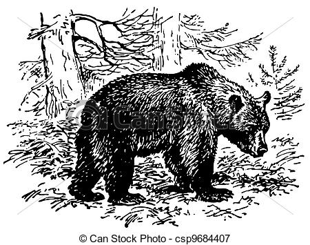 450x355 Brown Bear In The Forest - Black Bear Line Drawing