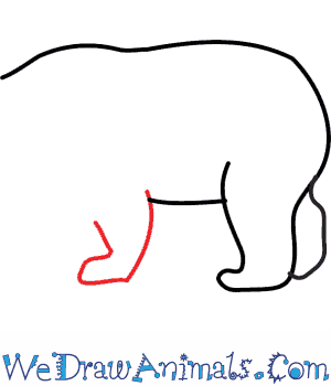 300x350 How To Draw A Black Bear - Black Bear Line Drawing