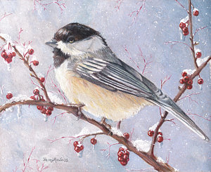 300x245 black capped chickadee drawings fine art america - Black Capped Chickadee Drawing