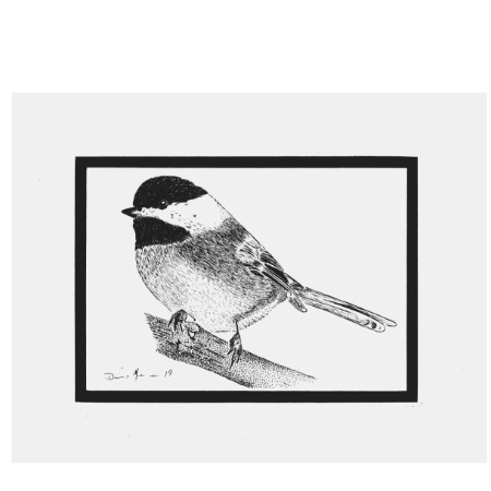 450x450 spring is near black capped chickadee - Black Capped Chickadee Drawing