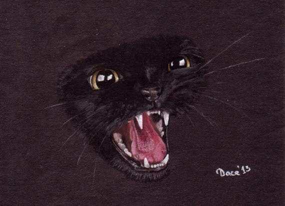 570x412 black cat pastel pencil drawing original cat drawing etsy - Black Cat Drawing
