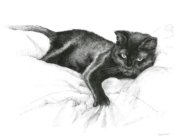 570x447 Black Cat Illustration Black And White Pictures Prints Of Etsy - Black Cat Drawing