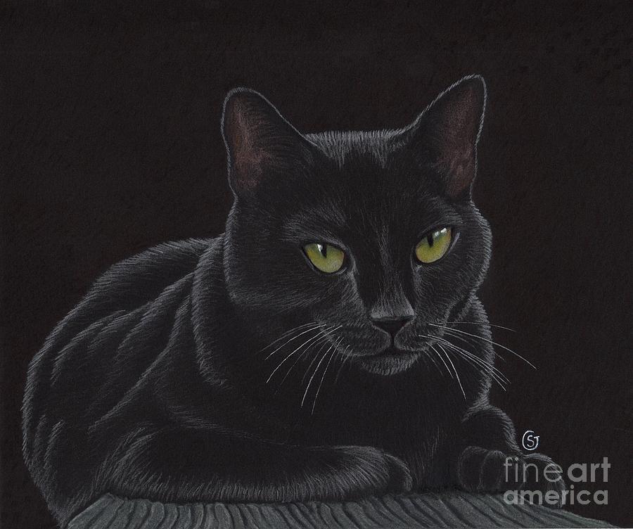 900x752 Black Cat - Black Cat Drawing