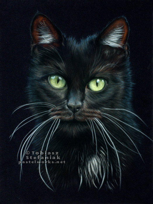 524x700 Three Black Cats Pet Portraits Animal Art - Black Cat Drawing
