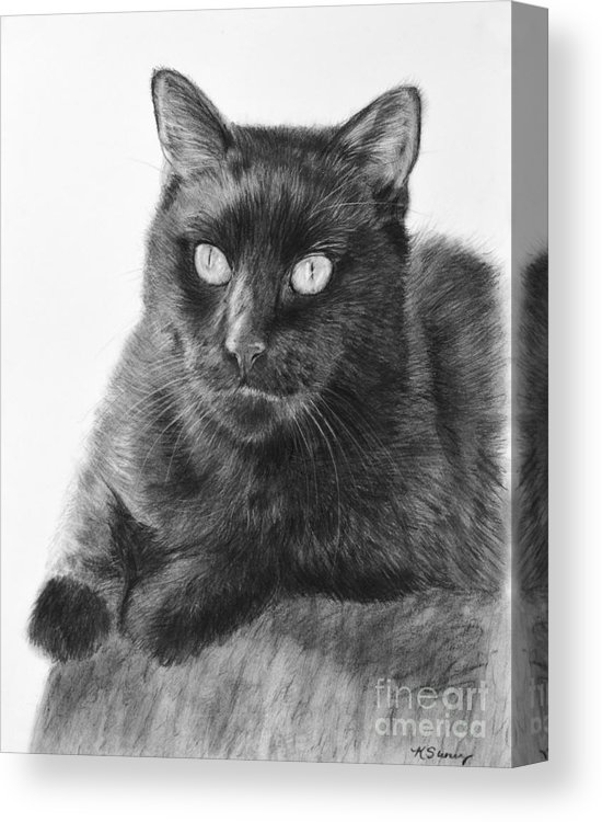 550x750 Black Cat Detailed Drawing Canvas Print Canvas Art - Black Cat Drawing