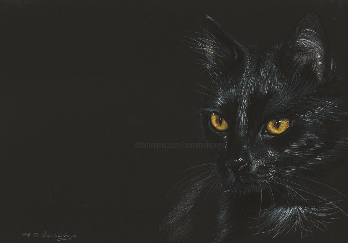 1200x838 Black Cat Drawing - Black Cat Drawing