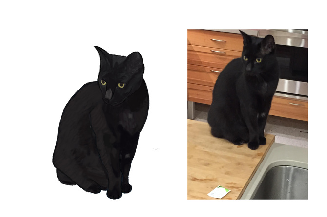 670x446 Custom Drawings - Black Cat Drawing Images