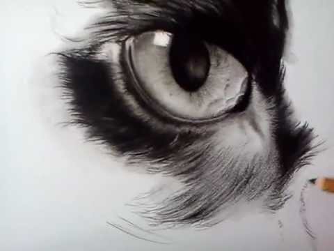 480x360 Drawing Of Nina The Black Cat - Black Cat Drawing Images