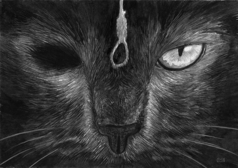 Black Cat Drawing Images at PaintingValley.com | Explore collection of ...