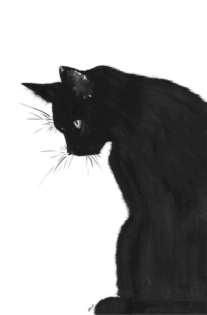 724x1103 What Would October Be Without Some Black Cat Art Art Cats - Black Cat Drawing Images