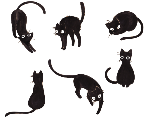 500x405 Kitty Cat Drawing Animals Cute Adorable Awesome My Edit Cats Black - Black Cat Drawing Images