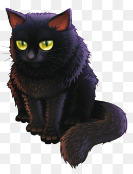 260x340 Cat Png - Black Cat Face Drawing