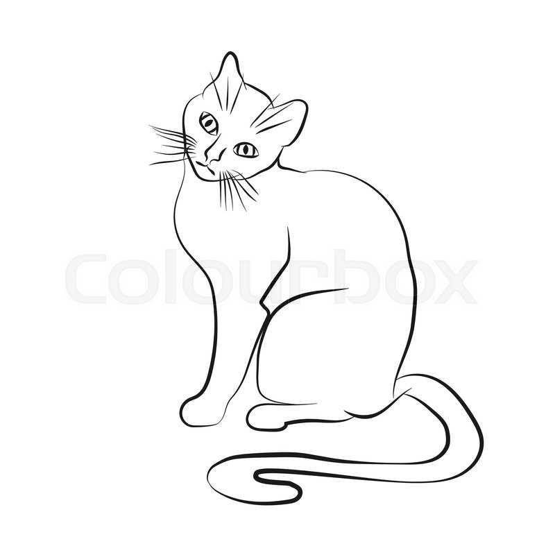800x800 Cat Face Black And White Sketch Stock Vector Colourbox - Black Cat Face Drawing