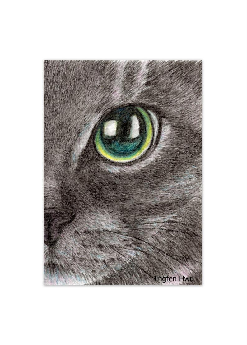 794x1110 lifelike realistic cat drawing watercolor pencil black cat etsy - Black Cat Face Drawing