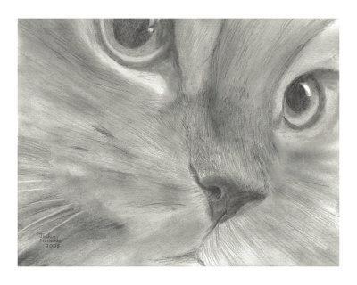 400x320 Pretty Kitty Cat Face Drawing In Black And White Giclee Print - Black Cat Face Drawing