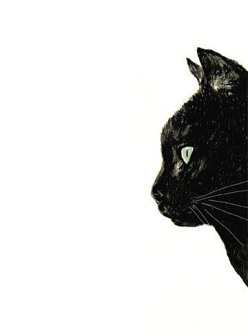 360x488 Cat Art - Black Cat Face Drawing