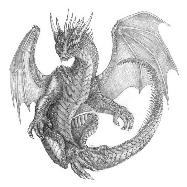 Black Dragon Drawing