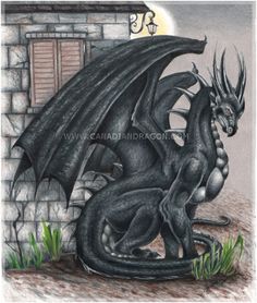 236x278 best dragon black images drawings, mythological creatures - Black Dragon Drawing