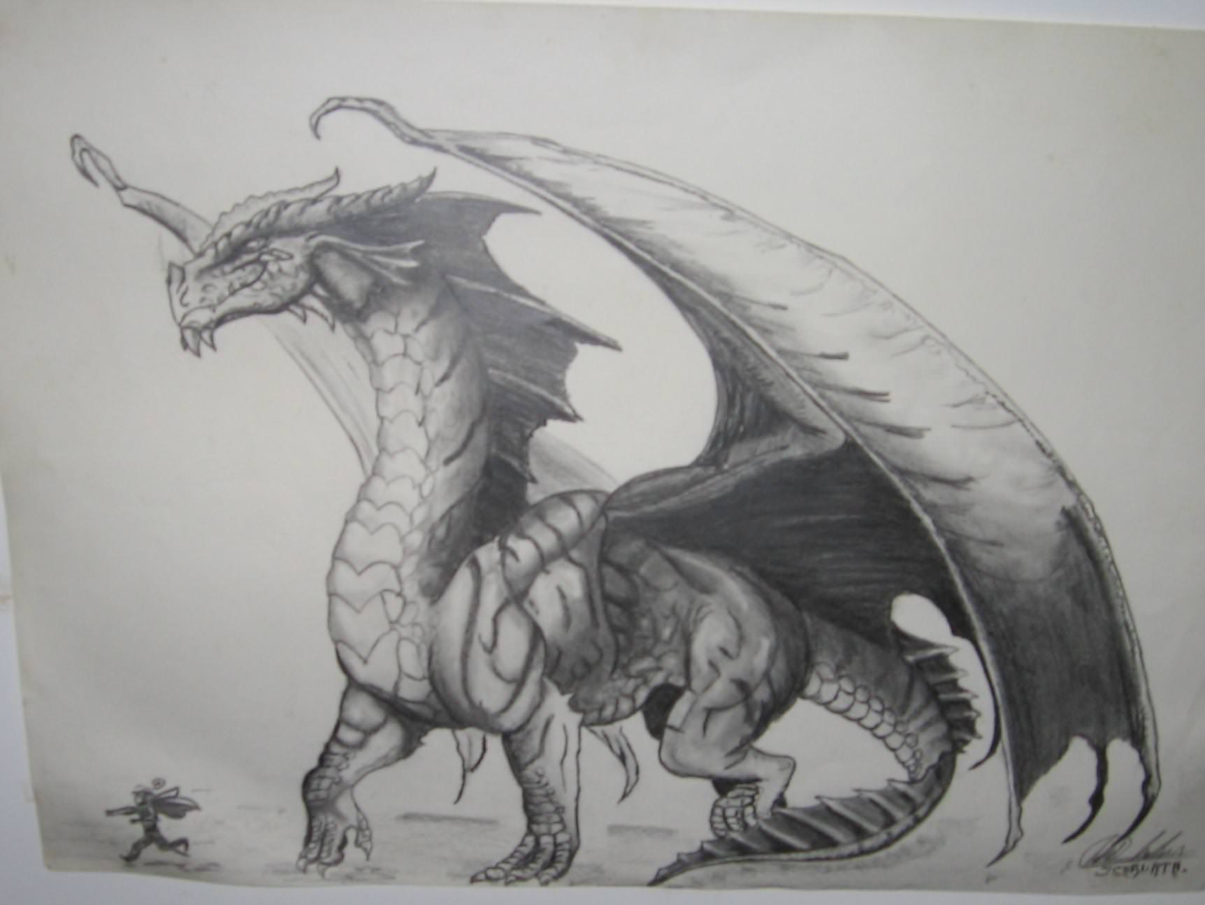 1724x1295 Realistic Dragon Drawings Design Trends - Black Dragon Drawing