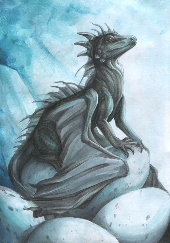 564x808 Baby Black Dragon Reverse Adoption Secretsensations - Black Dragon Drawing