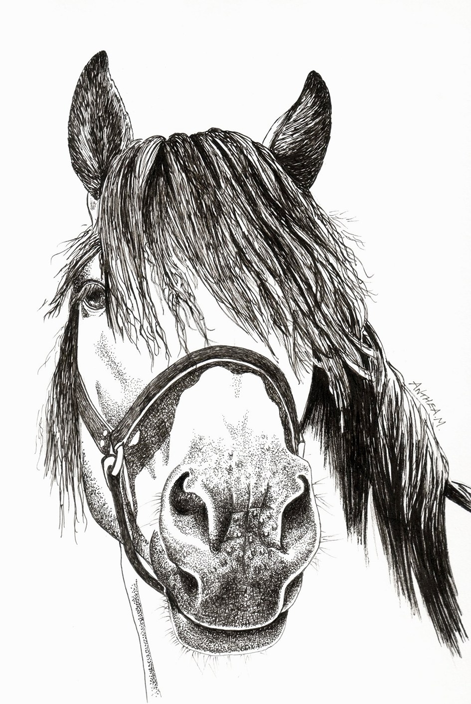 945x1411 Black White Ink Drawings - Black Drawings