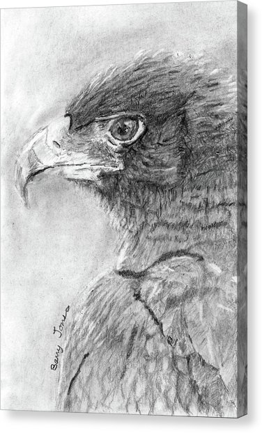 Black Eagle Drawing at PaintingValley.com | Explore collection of Black ...