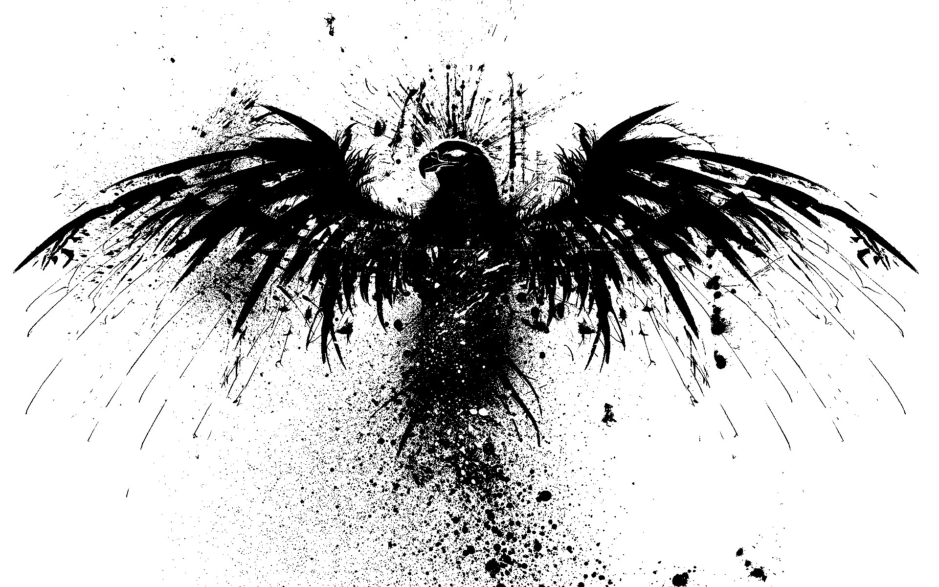 1920x1200 Black Eagle Wallpapers And Background Images - Black Eagle Drawing