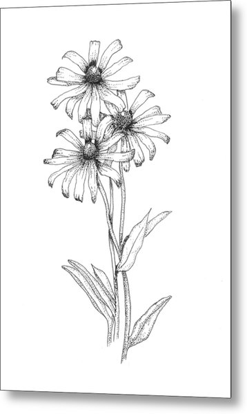 358x600 Black Eyed Susan Photograph - Black Eyed Susan Drawing