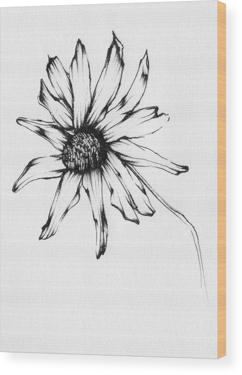 472x732 Black Eyed Susan Wood Print - Black Eyed Susan Drawing