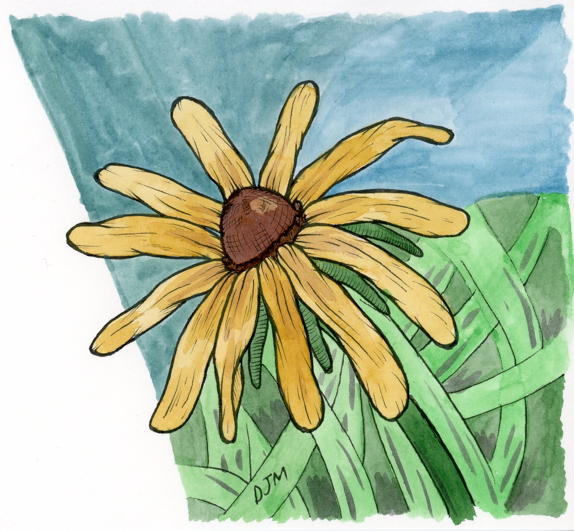 1929x1786 Black Eyed Susan Drawing I Made Yesterday - Black Eyed Susan Drawing