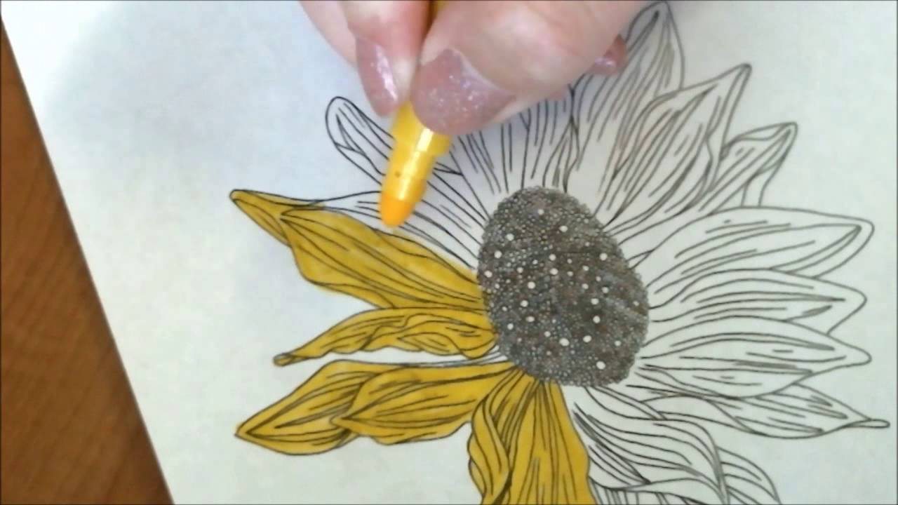 1280x720 Draw With Me Black Eyed Susan - Black Eyed Susan Drawing