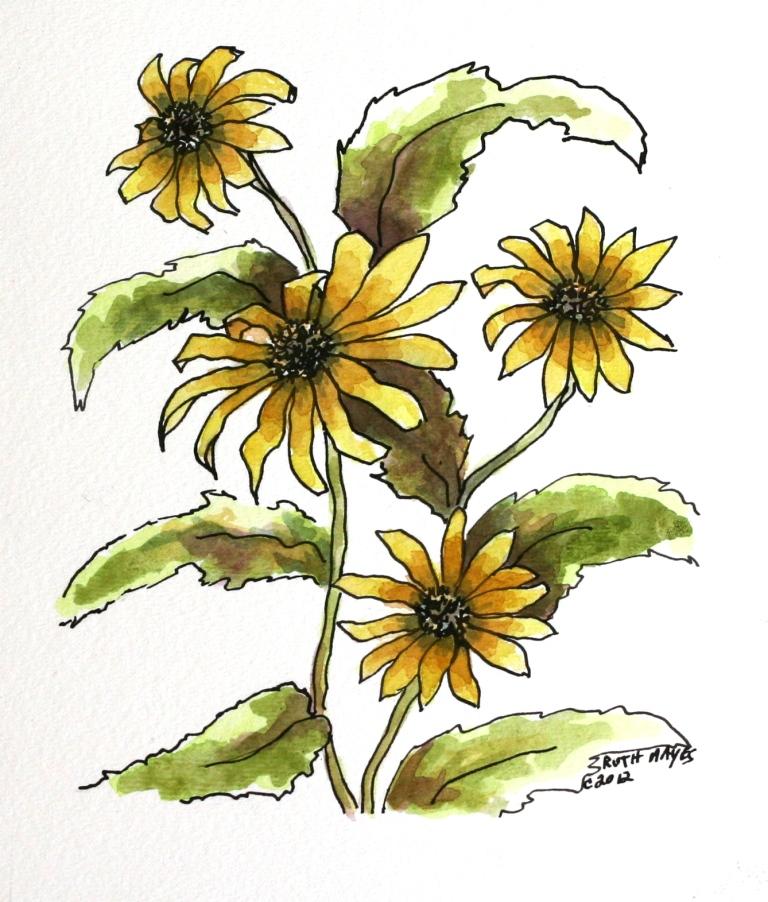 768x902 black eyed susan ruth's artwork - Black Eyed Susan Drawing