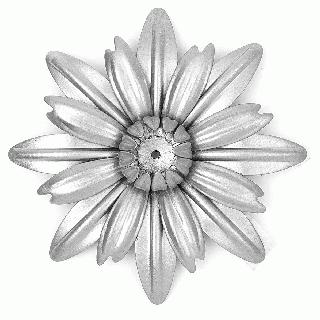 320x320 Black Eyed Susan Aster Flower - Black Eyed Susan Drawing