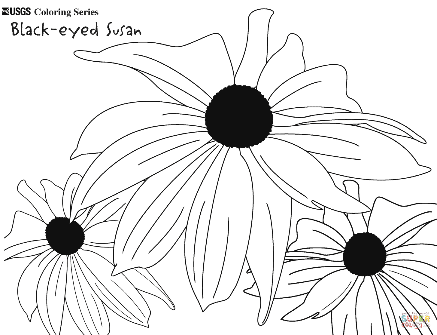 Black Eyed Susan Flower Drawings Black Eyed Susan Coloring Pages - Blac...