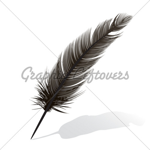 500x500 Black Feather On White Gl Stock Images - Black Feather Drawing