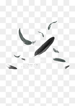 260x369 Black Feather Png, Vectors, And Clipart For Free Download - Black Feather Drawing