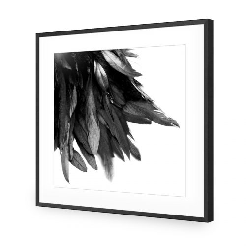 500x500 Black Feather Tail - Black Feather Drawing