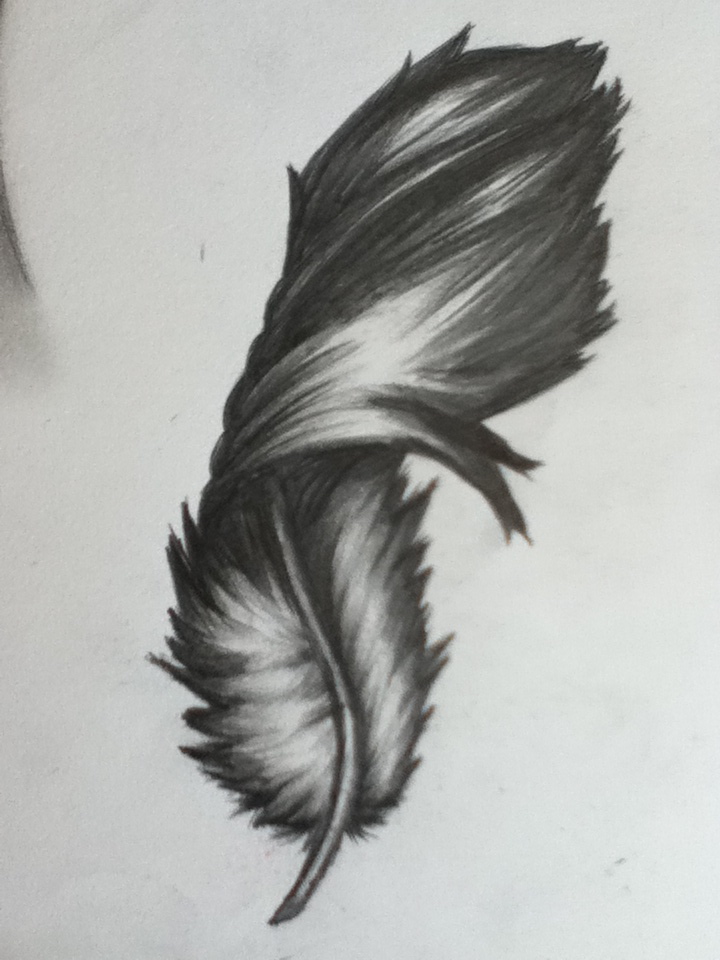 720x960 Dark Feather - Black Feather Drawing