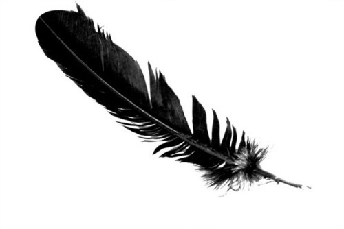 500x334 Found A Big Black Feather - Black Feather Drawing