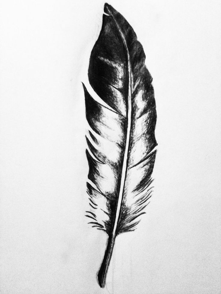 736x981 Grey And Black Feather Tattoo Design Sample - Black Feather Drawing