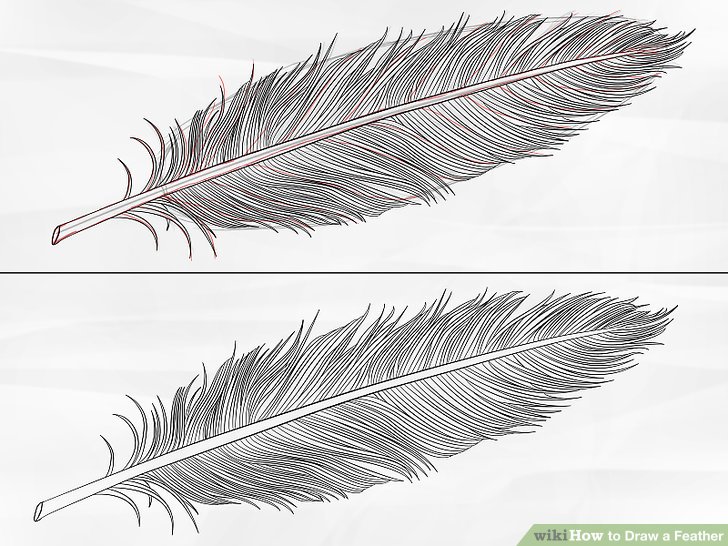728x546 How To Draw A Feather Steps - Black Feather Drawing