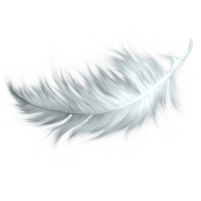 400x400 Light Black Feather Transparent Png - Black Feather Drawing