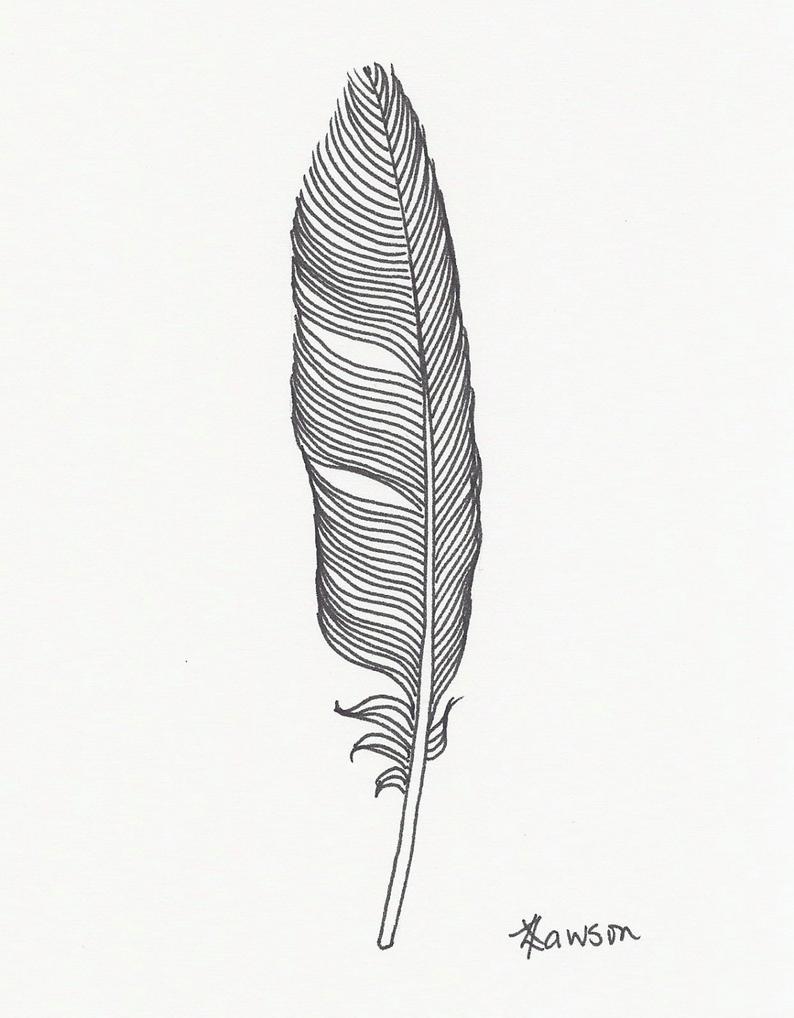 794x1018 Minimalist Original Ink Feather Drawing Smooth Black Feather Etsy - Black Feather Drawing