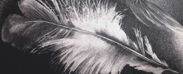 640x260 Feather Tattoo Designs For Men - Black Feather Drawing