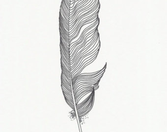 340x270 Original Ink Feather Drawing Romantic Black Feather Etsy - Black Feather Drawing