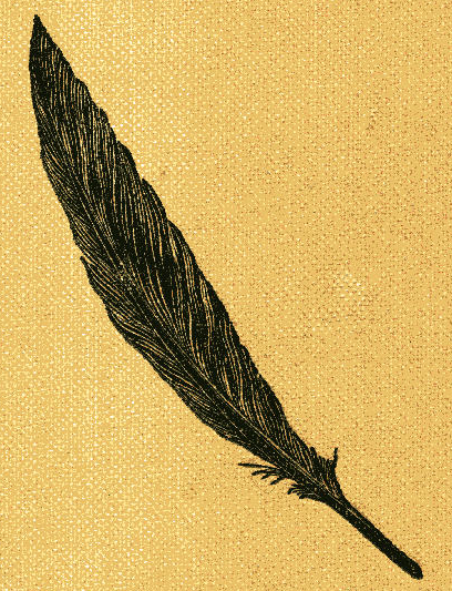 408x533 Black Feather Drawing - Black Feather Drawing