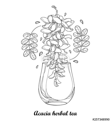 Black Flower Drawing