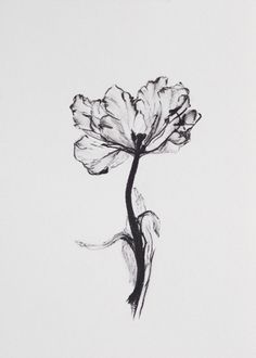 236x330 Flowers Ink Drawing Art Print, Minimalist Abstract Modern Black - Black Flower Drawing